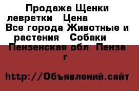 Продажа Щенки левретки › Цена ­ 40 000 - Все города Животные и растения » Собаки   . Пензенская обл.,Пенза г.